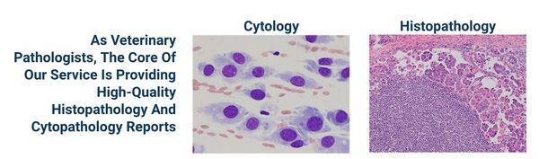 Eastern VetPath Services