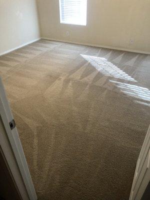 Steam Cleaning- Carpet