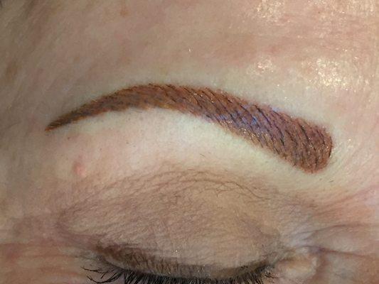 Micro- hairline and shading... perfect brow for redheads!