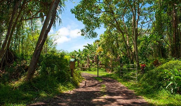 The main entrance