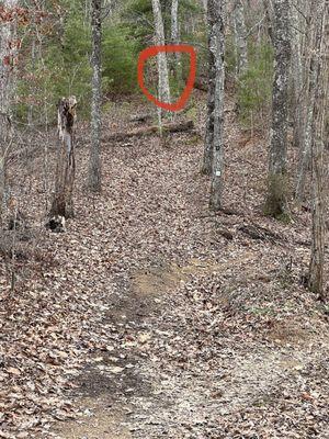 The terrain is much more steep than it appears. My wife is in the red area.