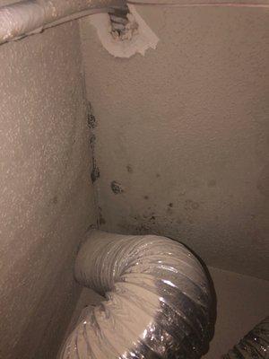 Mold in my closet