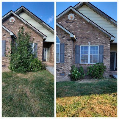 Tree removal. Riner Virginia.