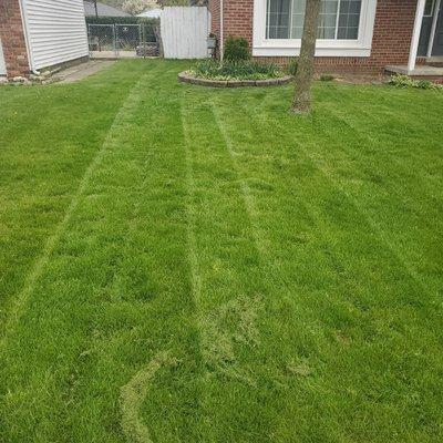 Lawn care