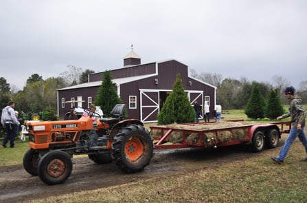 Free hayrides to & from the fields. The farm also offers free cocoa & cider in the barn.