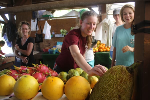 Hawaiian Roadside Fruit stand