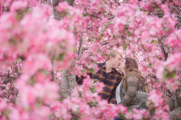 He told us to climb a tree for this one!