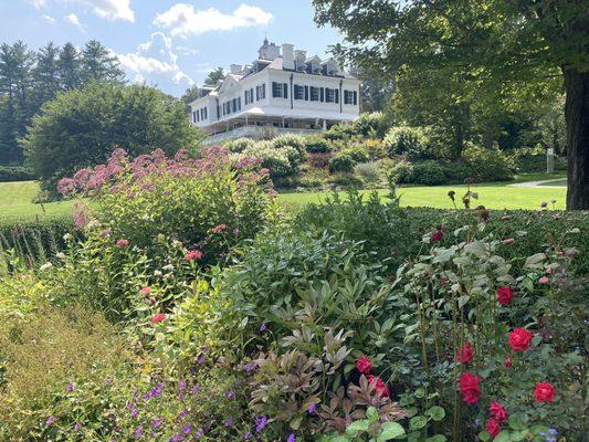 View from flower garden to café