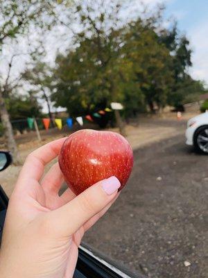 These apples are unlike any other