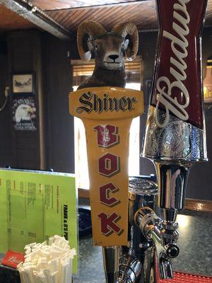 Shiner bock draft