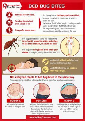 Infographic about bed bug bites