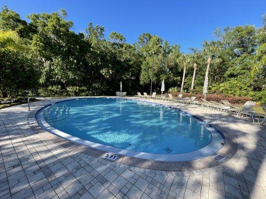 Adults only quiet heated pool, Tampa Palms Estates, New Tampa