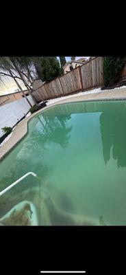 Nadim Ts pool before brushing, shocking, and filter cleaning.