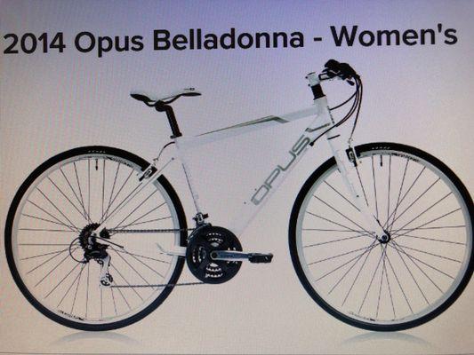 Opus Belladonna