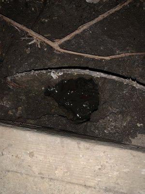 Sewer leak that existed under the house the entire duration of our stay.