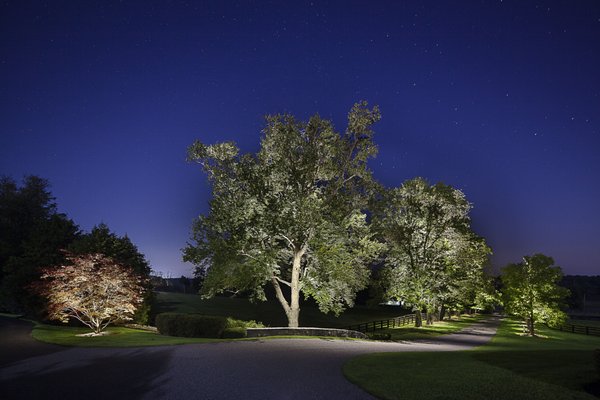 Landscape Lighting