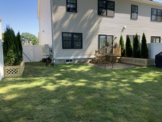 Raised Beds with 7-8' arborvitaes for Privacy.