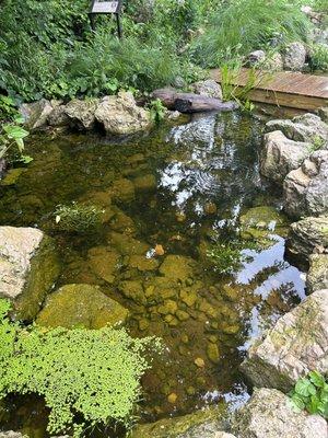 Decorative pond at the start of the trail