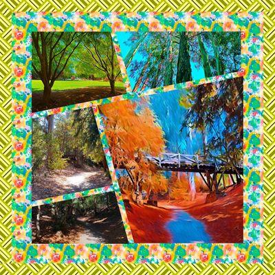 Montage of images from Dracena Quarry Park