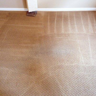 carpet cleaning