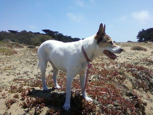 I love Fort Funston and Jennifer