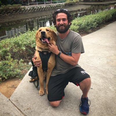 Labs on the Venice Canals