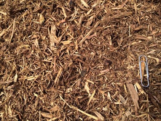 Small Decorative Wood Chip, Closeup