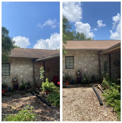 Damage free Roof cleaning