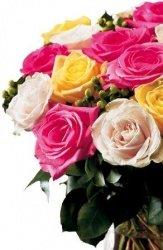 Two dozen roses any color $129.99