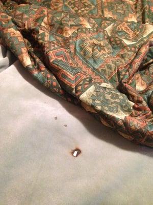 Burnt holes in blanket in non smoking room 217