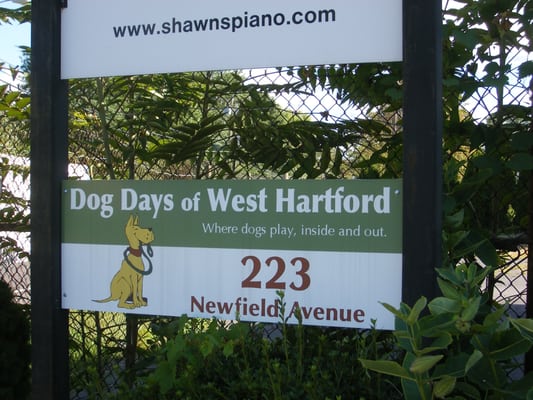 Dog Days of West Hartford