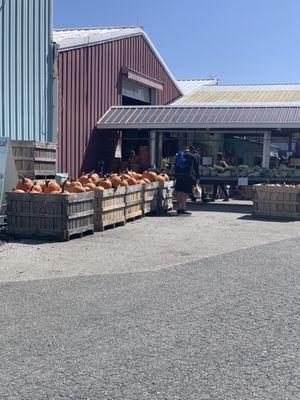 Baugher's Orchard Bakery