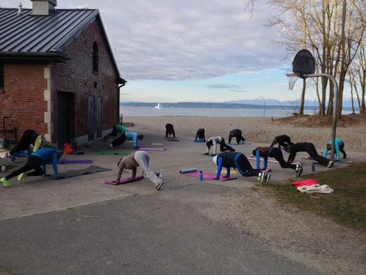 Golden Gardens