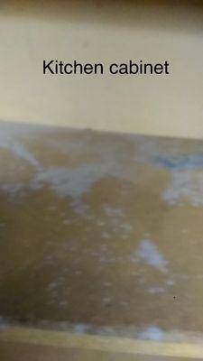 Mold in kitchen cabinets