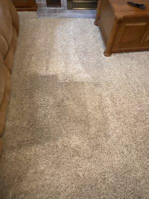 The little square shows how dirty the carpet was. And how clean they got the carpet