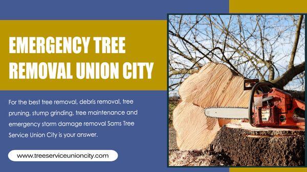 Emergency Tree Removal Union City