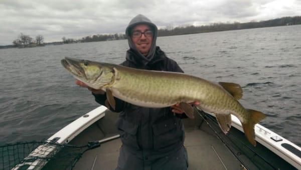 43" Musky caught by our Guest