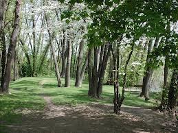 Foothills Park