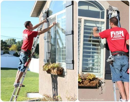 Fish Window Cleaning