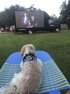 Mocha Coconut watching the movie!