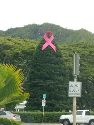 The Pink Ribbon... for Breast Cancer Awareness month!