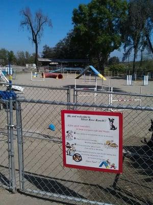 One of the play areas for the puppies.