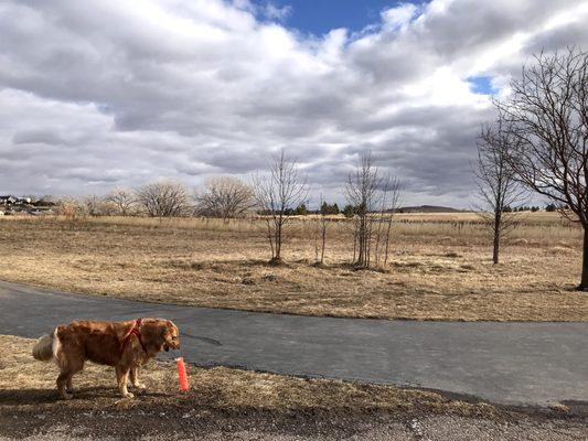 Robbinsdale Dog Park