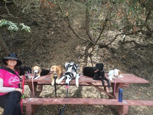 Alaina and the dogs take a break during a training hike.