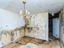 Mold Damage