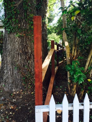 Landscape work and the fence framing,