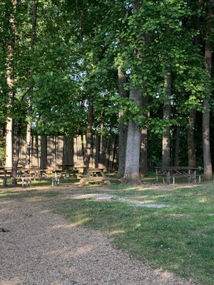 Eat lunch under the trees