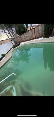 Nadim Ts pool before we shocked brushed and filter cleaned.