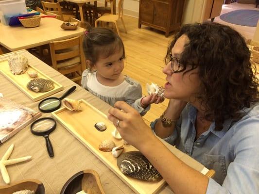 The school's director stopped in and helped our little girl explore and discover the shells with a magnifying glass.