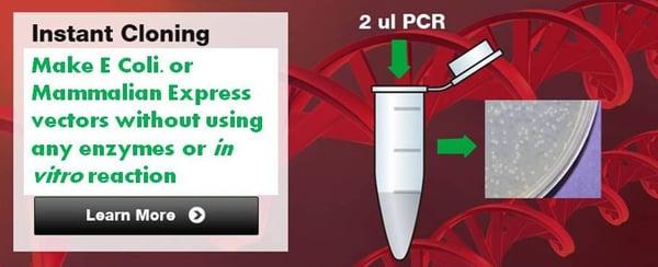 Fuion in vivo__the most easiest PCR cloning method